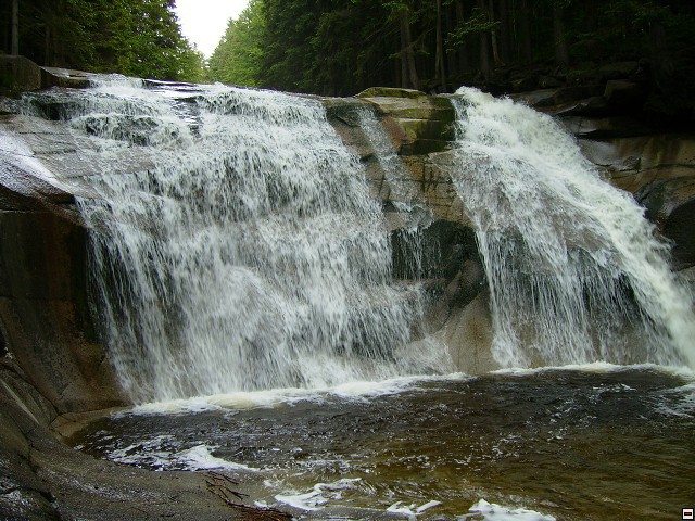 img00004.jpg