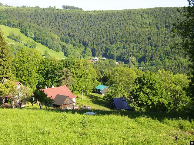 img00009.jpg