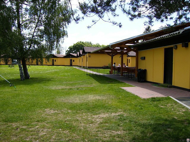 img00019.jpg