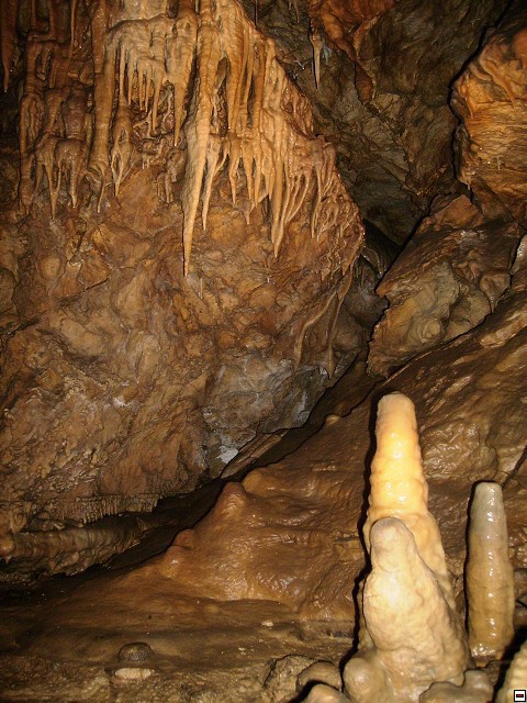 img00043.jpg