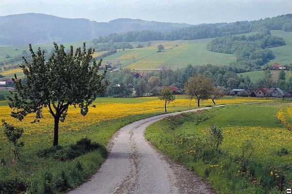 img00061.jpg