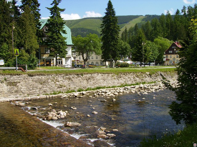 img00087.jpg