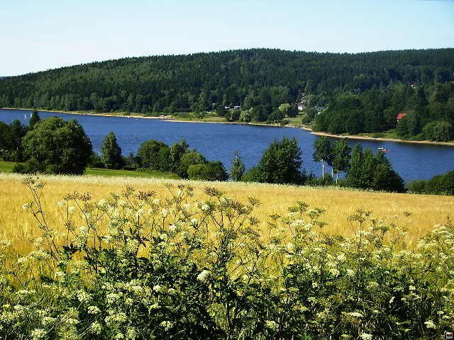 img00098.jpg