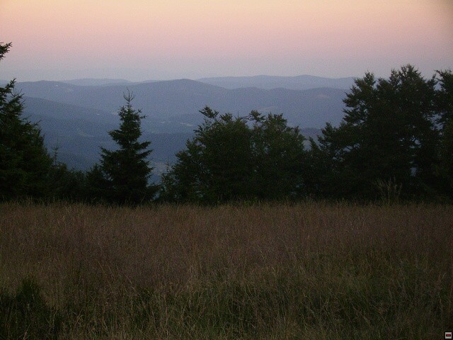img00105.jpg