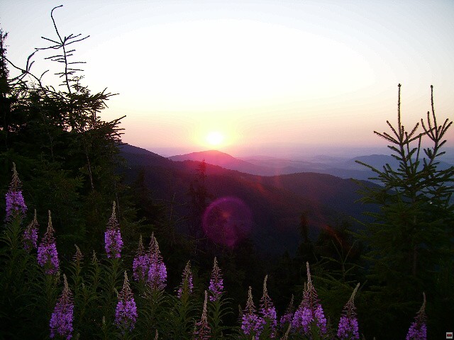img00106.jpg