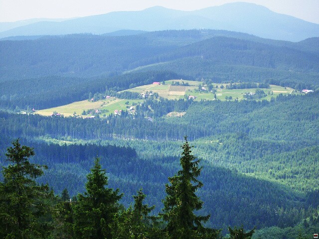 img00117.jpg