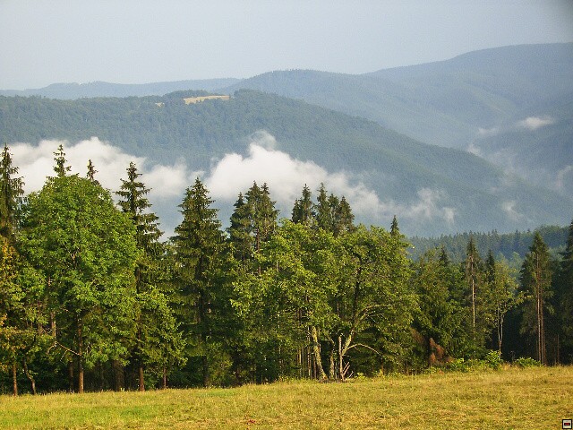 img00119.jpg