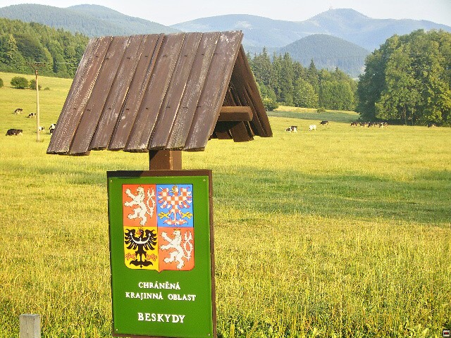 img00125.jpg